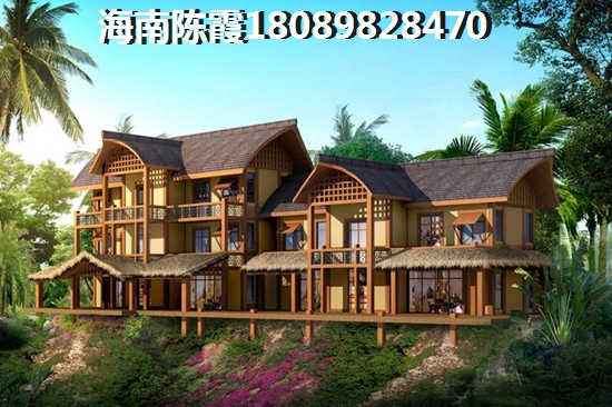 海南临高飘兰庭院极具升值潜力，飘兰庭院项目地址在哪？