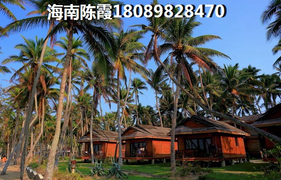 舒宠公仔旗舰店