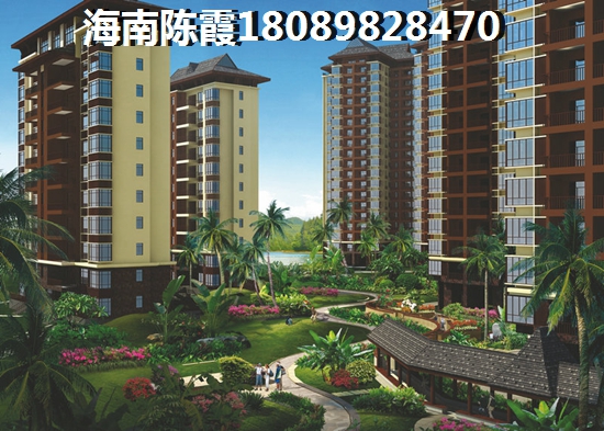 蔺一小说