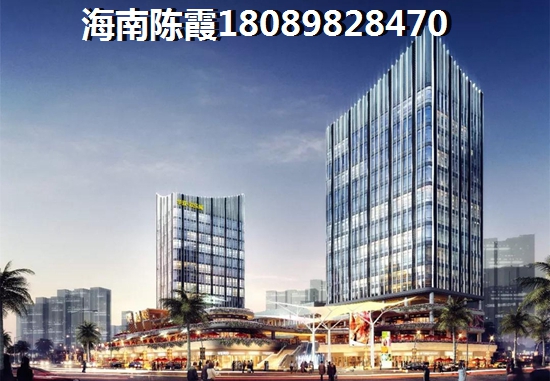ddy是什么意思