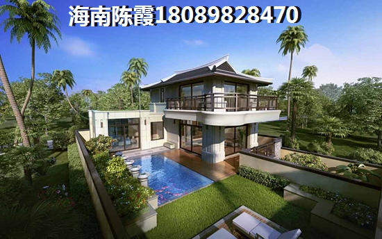 她的鸢尾