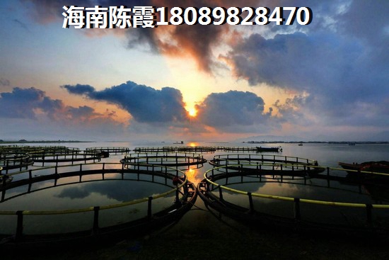 加盟店公司起名大全四个字