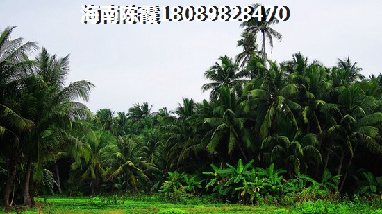 南雁荡山旅游攻略